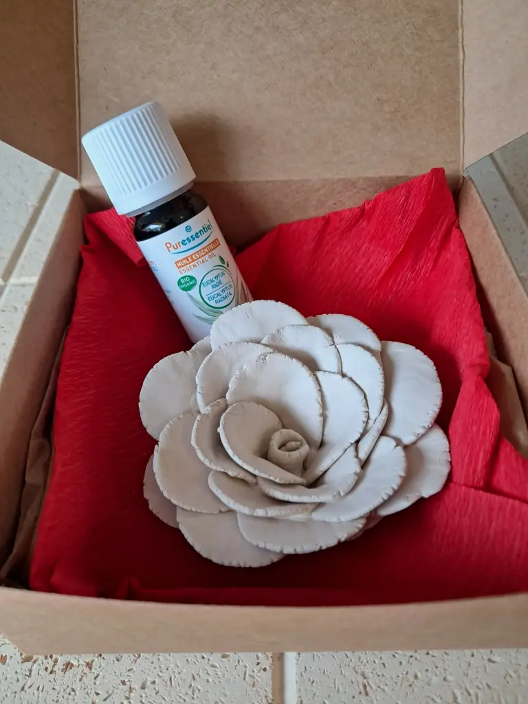 Diffuseur de parfum Effluve