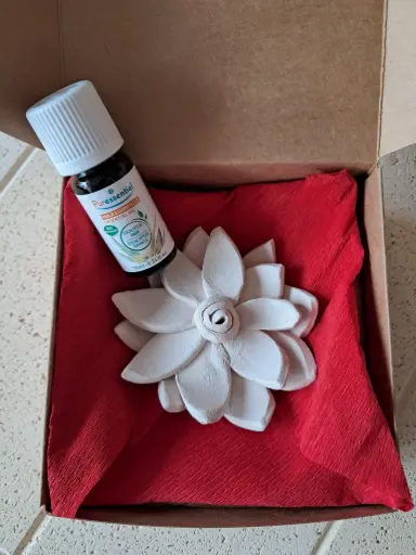 Diffuseur de parfum Souffle