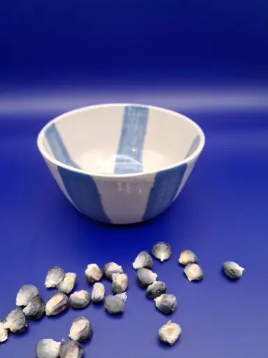 Bol à tapas Pinceau bleu